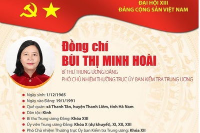 [Infographic] Quá trình công tác Bí thư Trung ương Đảng Bùi Thị Minh Hoài