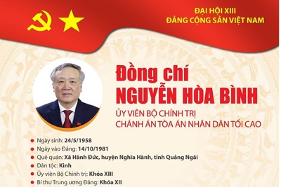 [Infographic] Quá trình công tác Ủy viên Bộ Chính trị Nguyễn Hòa Bình