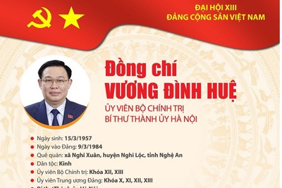 [Infographic] Quá trình công tác Ủy viên Bộ Chính trị Vương Đình Huệ