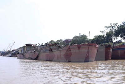 Bắt giữ 14 tàu khai thác, vận chuyển cát trái phép trên sông Hồng