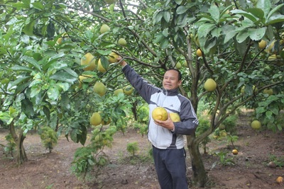 Gia Lâm: 5 đơn vị được sử dụng địa danh địa phương để đăng ký bảo hộ nhãn hiệu tập thể