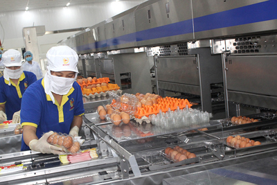 Khánh thành nhà máy xử lý trứng gia cầm công nghệ cao tại Hà Nội