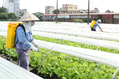 Luật Bảo vệ môi trường 2020: Tăng vai trò giám sát của nông dân