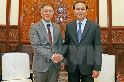 Chủ tịch nước Trần Đại Quang tiếp Phó Chủ tịch Tập đoàn Hyundai Motor
