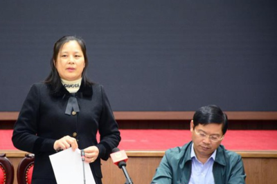Phó Chủ tịch huyện Ứng Hòa thông tin về quy hoạch sân bay thứ hai ở Hà Nội