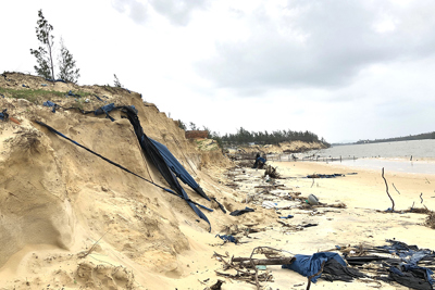 Quảng Nam: Bờ biển xã đảo Tam Hải tiếp tục bị sạt lở, xâm thực sâu