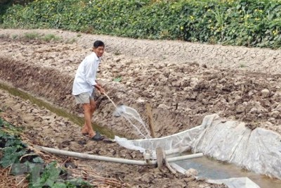 Xâm nhập mặn đe dọa nhu cầu nguồn nước tại khu vực Nam Bộ