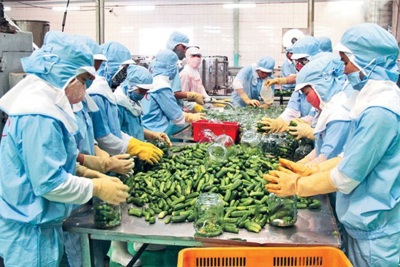 Việt Nam có 7 mặt hàng nông lâm thủy sản xuất khẩu đạt trên 2 tỷ USD