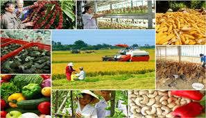 Chương trình 04 của Thành ủy Hà Nội về xây dựng nông thôn mới gắn với cơ cấu lại ngành nông nghiệp giai đoạn 2021-2025