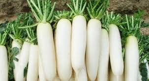 Những món ăn bổ dưỡng từ củ cải trắng