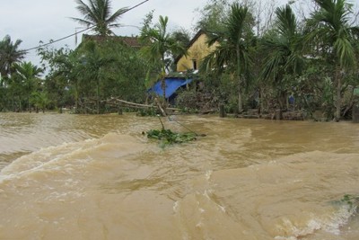 Cảnh báo lũ trên các sông từ Thừa Thiên Huế đến Bình Định