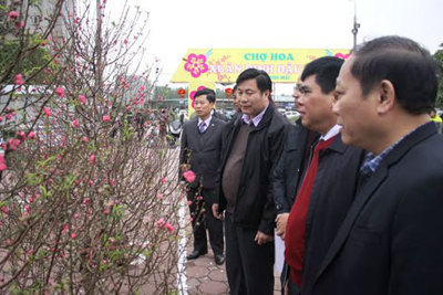 Quận Hoàng Mai: Khai mạc chợ hoa Xuân Đinh Dậu 2017