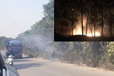 Hà Nội: Báo động hành vi đốt lửa gây cháy thảm cây xanh trên các tuyến đường lớn