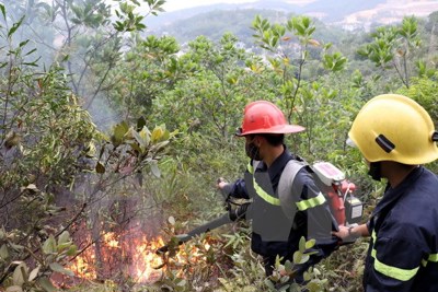 Dập tắt vụ cháy rừng tại thành phố Hạ Long