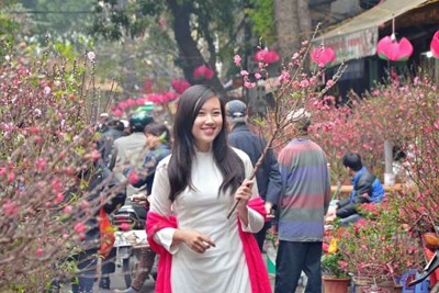 Hà Nội tổ chức 60 chợ hoa Xuân phục vụ Tết Đinh Dậu 2017