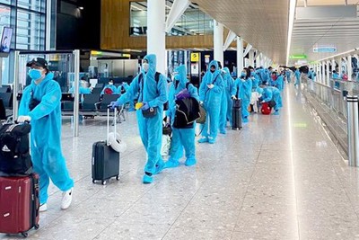 Hải Phòng xác định 41 người đi trên chuyến bay có bệnh nhân tái dương tính SARS-CoV-2