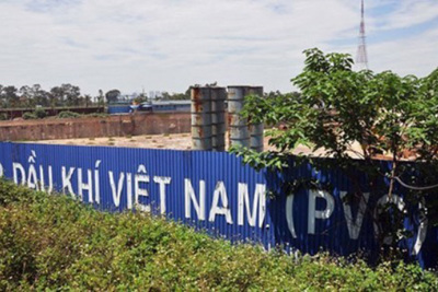Bán đấu giá 2,4 triệu cổ phần Công ty Cổ phần Bất động sản Dầu khí Việt Nam