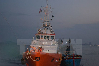 Tổ chức đưa 18 thuyền viên gặp nạn về vùng biển Nghệ An