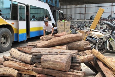 Bắt xe chở gỗ lậu “ngụy trang” xe đưa tang trên quốc lộ 1A