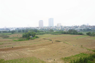 Hà Nội rà soát doanh nghiệp sử dụng đất tại vùng bãi sông Hồng
