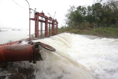 Hà Nội còn hơn 1.000ha vụ Xuân 2021 cần bổ sung nguồn nước từ hồ thủy điện