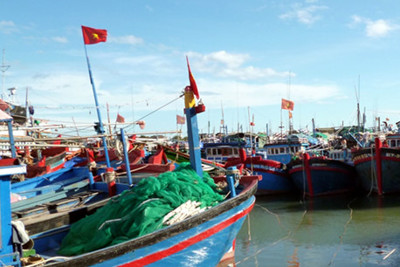Ngăn chặn tình trạng cản trở tàu cá vãng lai vào cảng Cà Ná