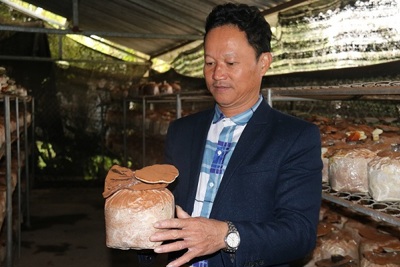 Mục sở thị trại nấm “khủng” của lão nông ở Hà Tĩnh