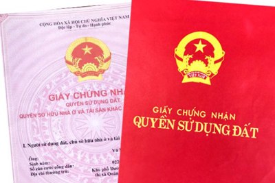 Đòi lại quyền sử dụng đất do người khác đứng tên