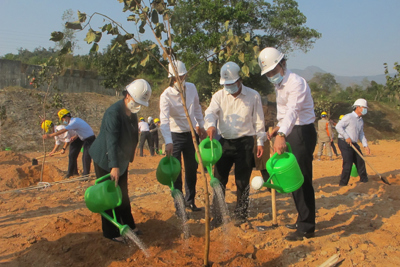 EVN phấn đấu trồng mới và chăm sóc 1 triệu cây xanh
