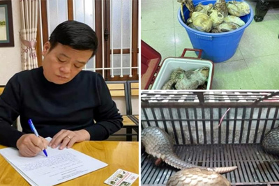 Khởi tố chủ nhà hàng "Đệ nhất Văn Quán" vì nuôi nhốt, cấp đông 17 cá thể tê tê