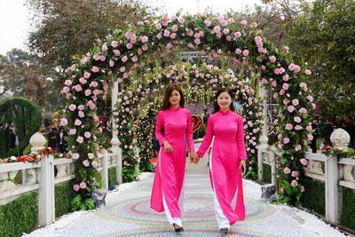 300 loài Hoa hồng vẫy gọi du khách đến công viên Thống Nhất