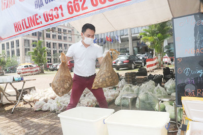 “Biệt đội” giải cứu nông sản mùa dịch