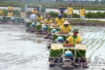 Diện tích ruộng đồng Hà Nội có nước đạt trên 21%