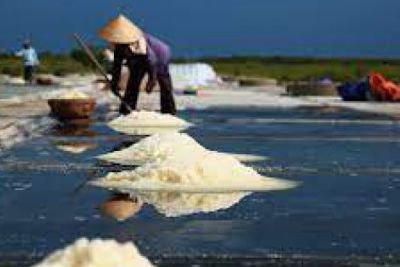 Xuất cấp muối trắng hỗ trợ người dân Hà Tĩnh bị thiên tai