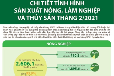 [Infographic] Chi tiết tình hình sản xuất nông, lâm nghiệp và thủy sản tháng 2/2021