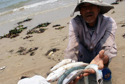 Ô nhiễm biển miền Trung không lọt top sự kiện môi trường 2016
