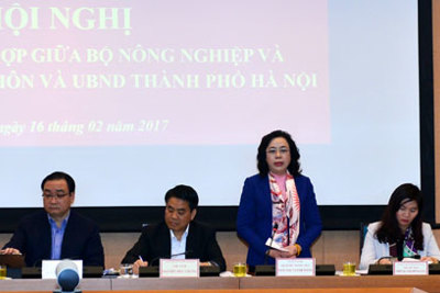 Phấn đấu đến năm 2020 có trên 80% xã đạt chuẩn nông thôn mới