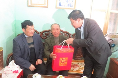 Phó Chủ tịch UBND TP Hà Nội Dương Đức Tuấn thăm, chúc Tết cá nhân tiêu biểu của huyện Thường Tín