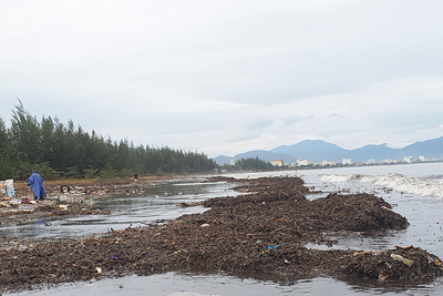 Ảnh: Lượng rác khổng lồ tấp vào bãi biển Đà Nẵng sau bão Vamco