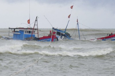 Bình Định: Còn nhiều tàu cá nằm trong vùng nguy hiểm