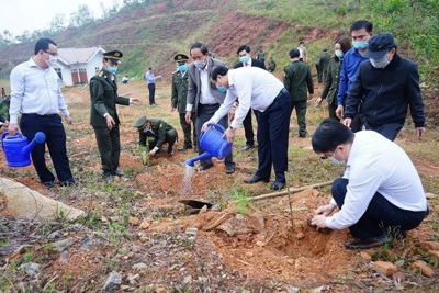 Quảng Nam tổ chức Tết trồng cây Xuân Tân Sửu 2021