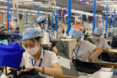 Hà Nội bắt đầu triển khai tổng điều tra kinh tế năm 2021