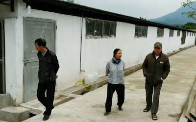 Xã Vân Hòa, huyện Ba Vì: Trại lợn “mọc” giữa khu dân cư