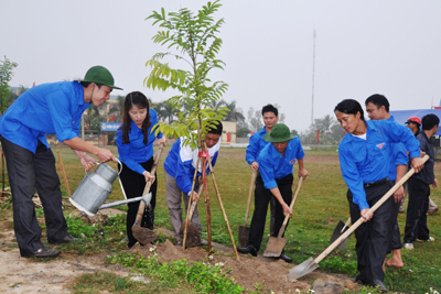 Hà Nội xây dựng kế hoạch tổ chức Tết trồng cây xuân Đinh Dậu 2017