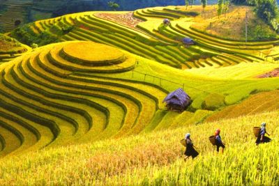 Việt Nam là 1 trong 10 điểm du lịch đáng đến nhất năm 2017