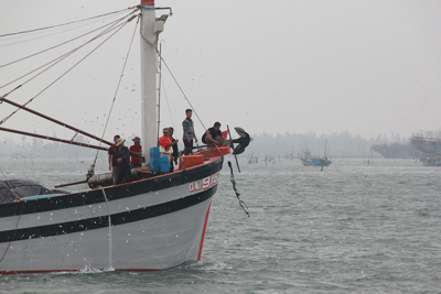 Ngư dân Quảng Nam vươn khơi, “bỏ” Tết giữ biển
