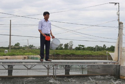 Huyện Ứng Hòa: Thay nguồn nước cho vùng chuyên canh thủy sản