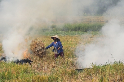 Huyện Mê Linh: Gần 1/3 rơm rạ sau thu hoạch được đốt trên cánh đồng