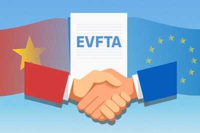 Thủ tướng phê duyệt Kế hoạch thực hiện Hiệp định EVFTA