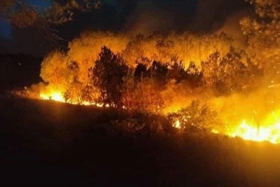 Nghệ An: Cả ngàn người chiến đấu với giặc lửa cứu rừng